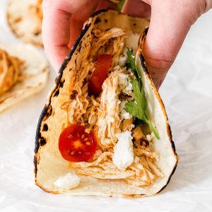 tortilla filled with shredded chicken, cherry tomato, and cheese